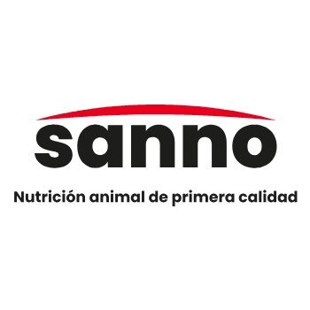 GRUPO SANNO